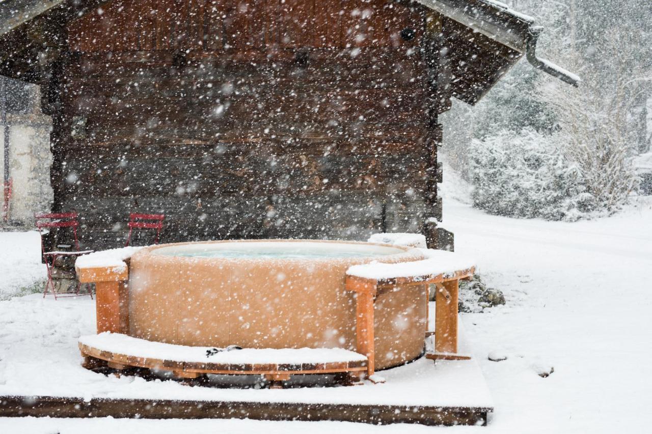 Chalet Sur Les Monts Morzine モントリオン エクステリア 写真