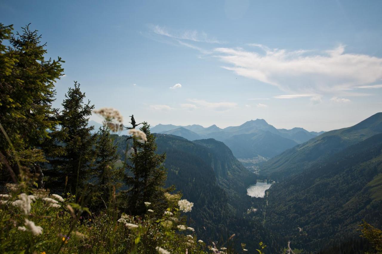 Chalet Sur Les Monts Morzine モントリオン エクステリア 写真