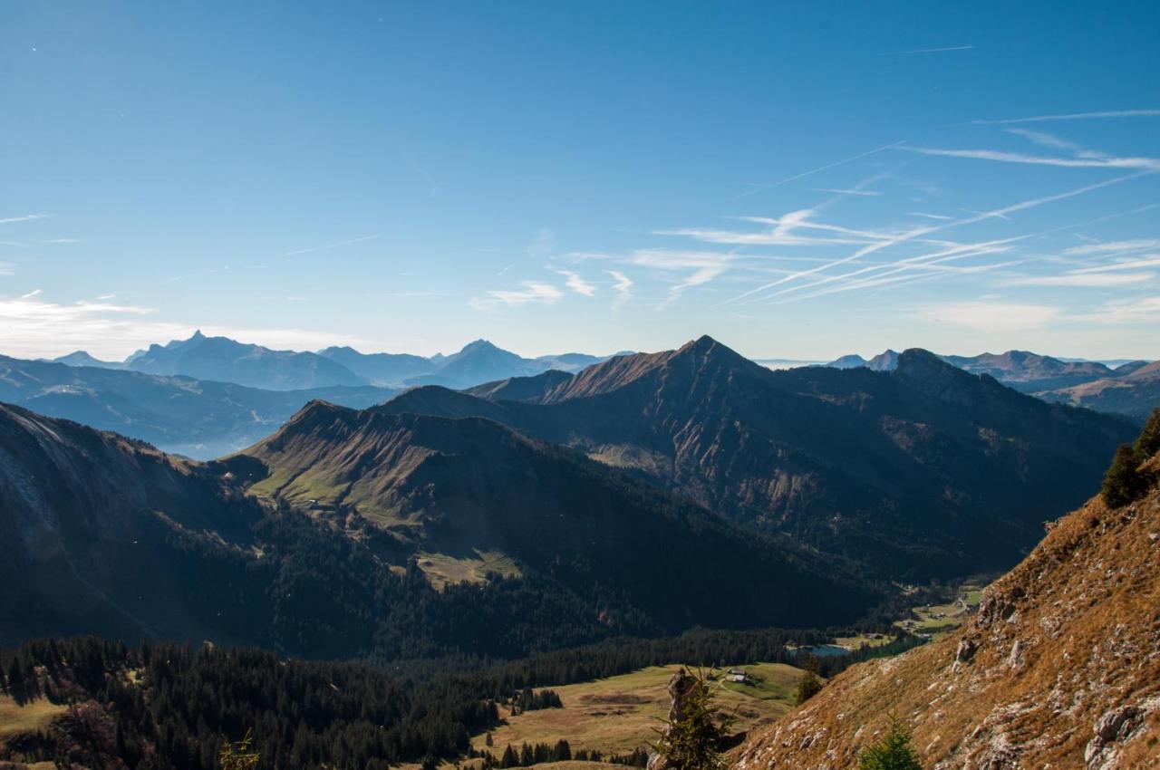 Chalet Sur Les Monts Morzine モントリオン エクステリア 写真